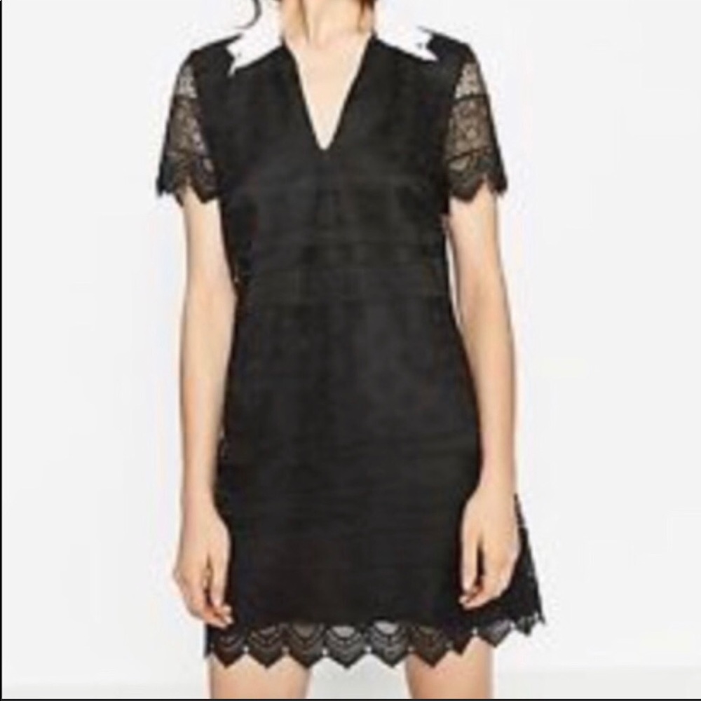 ZARA black and white lace collared mini dress